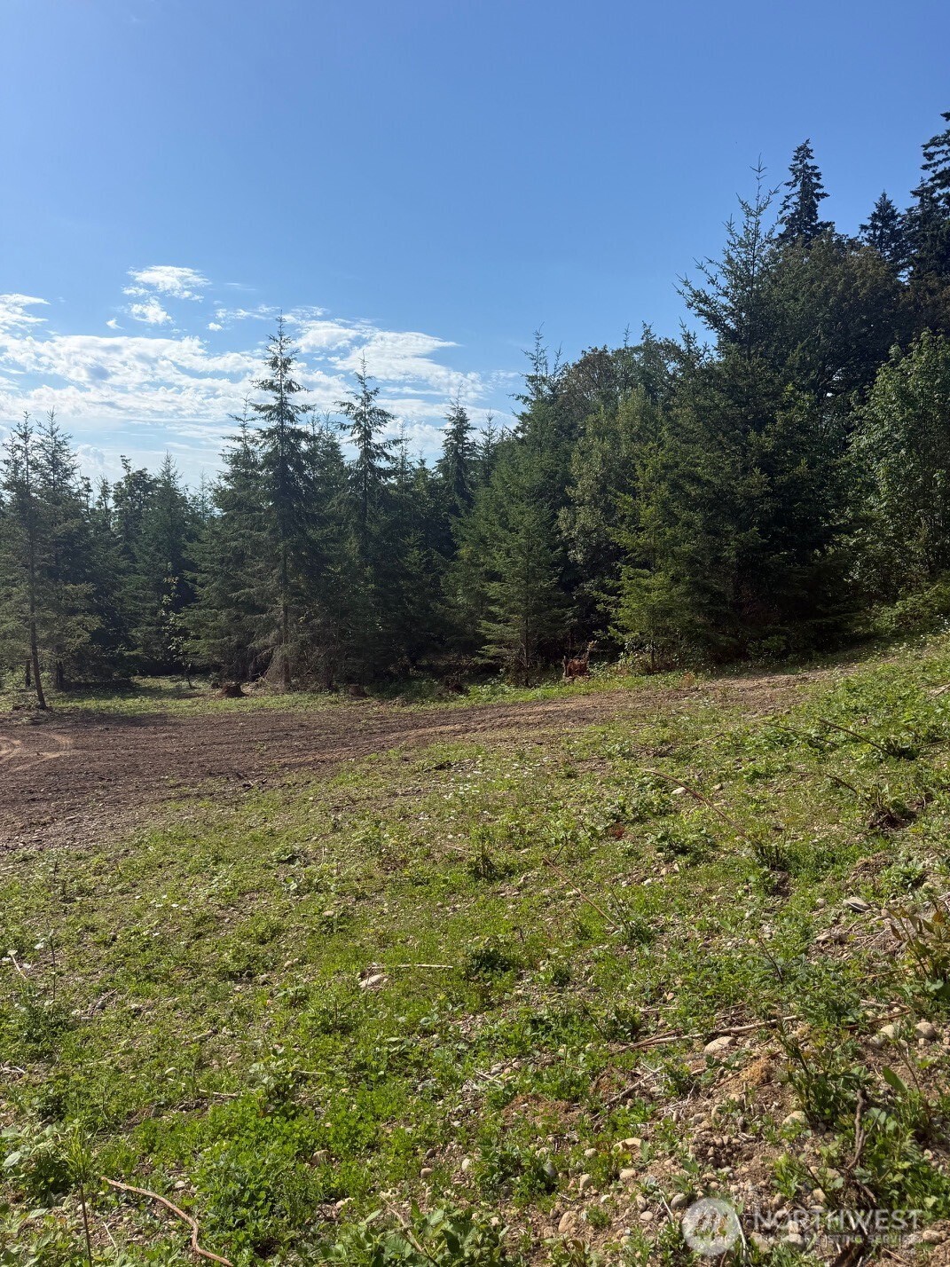 1 I Triangle Cove Lane Property Photo 15