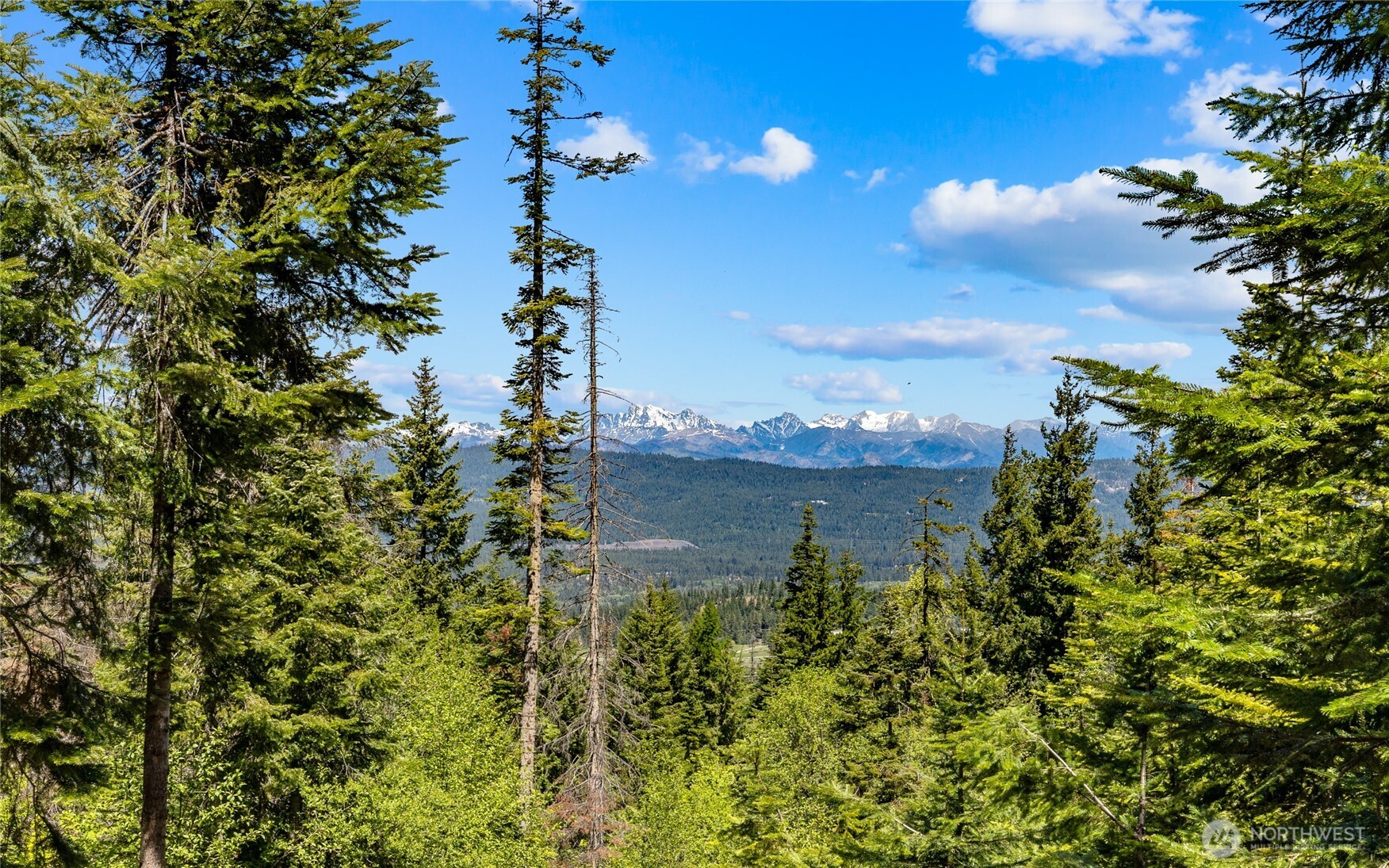 2000 Rocky Mountain Way Property Photo 1