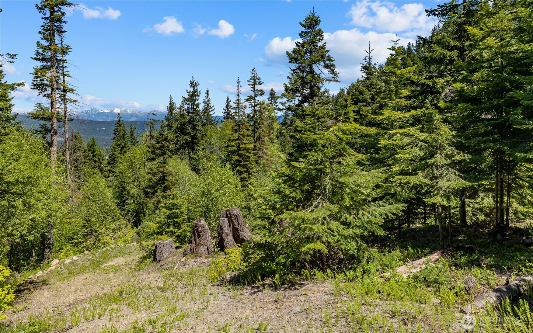 2000 Rocky Mountain Way Property Photo 2