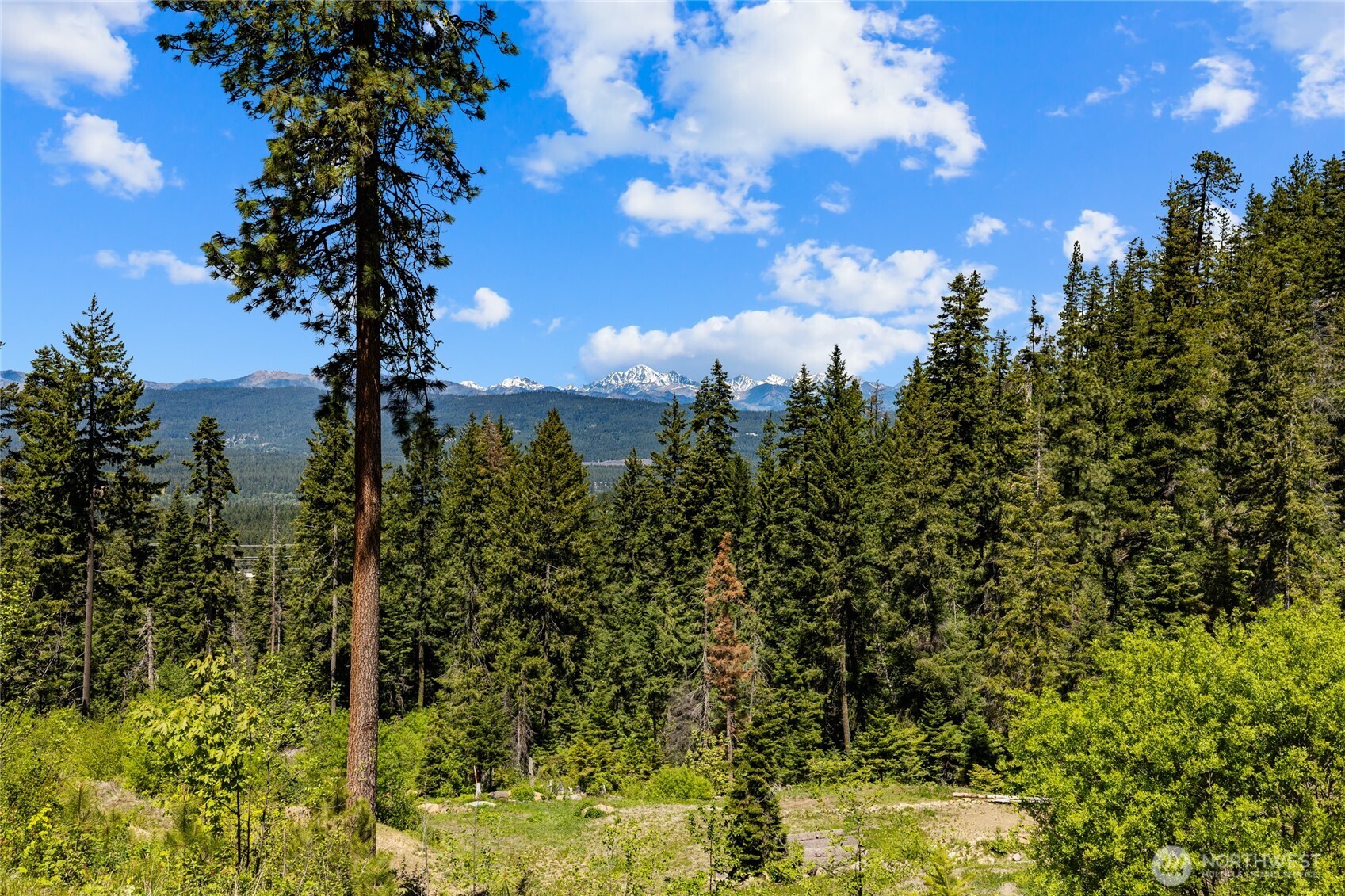 2000 Rocky Mountain Way Property Photo 13