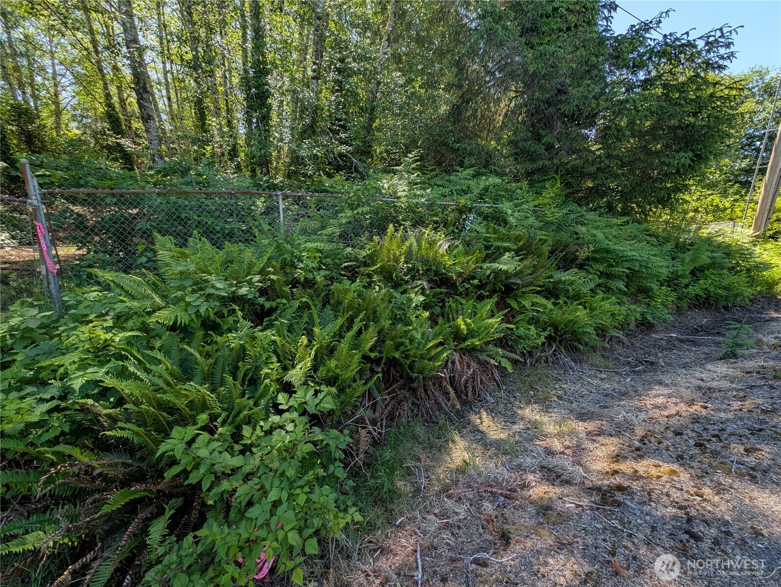 181327 Hwy 101 Highway Property Photo 4