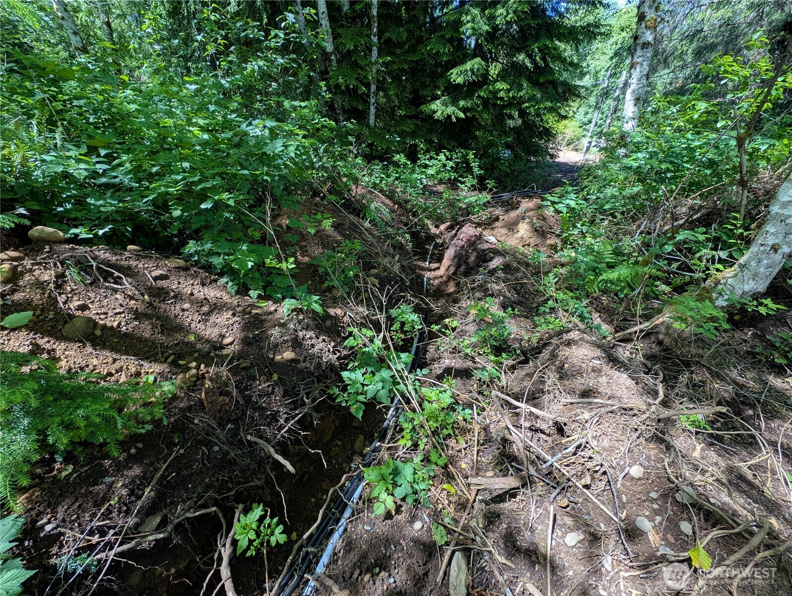 181327 Hwy 101 Highway Property Photo 14
