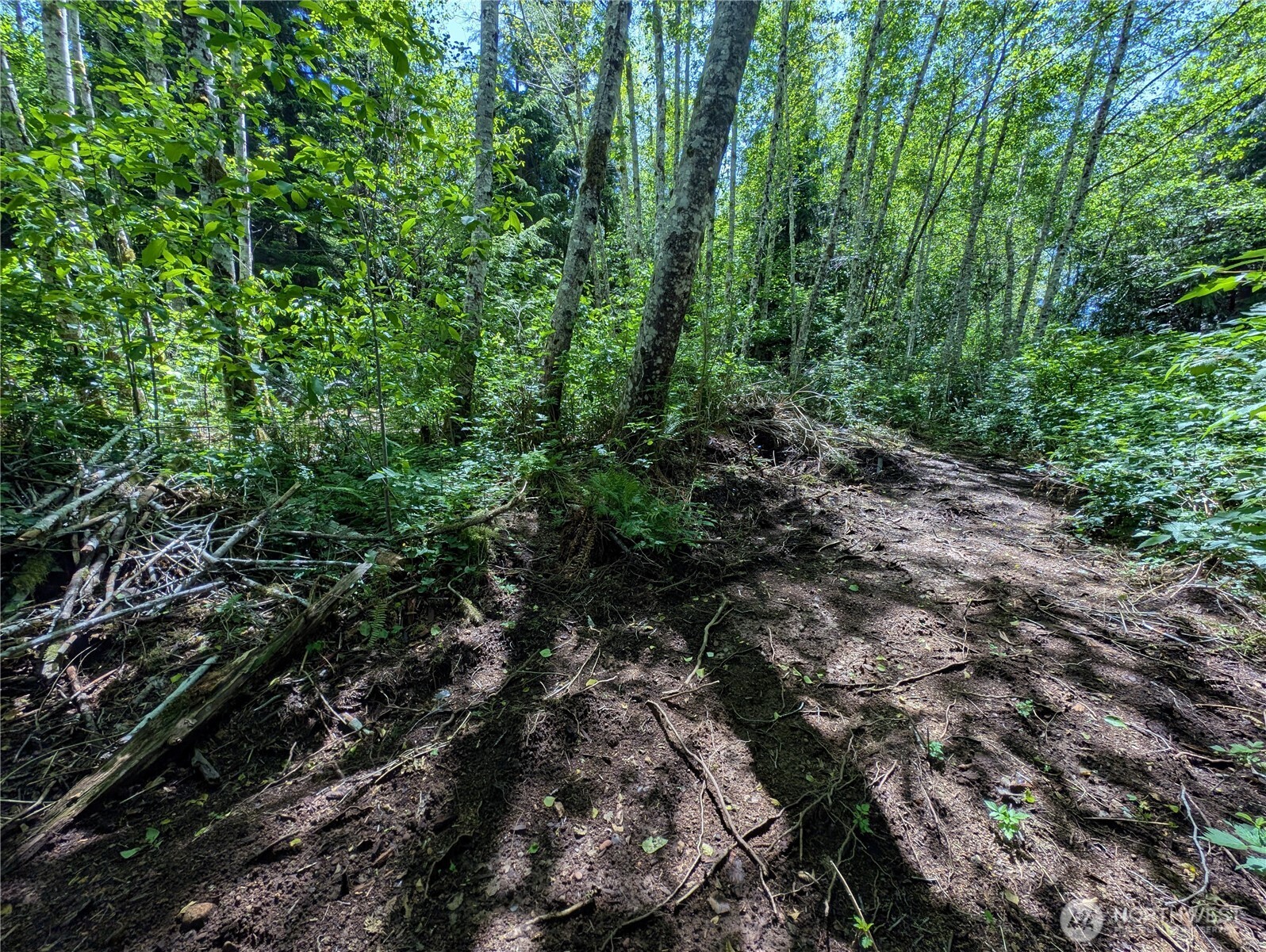 181327 Hwy 101 Highway Property Photo 19
