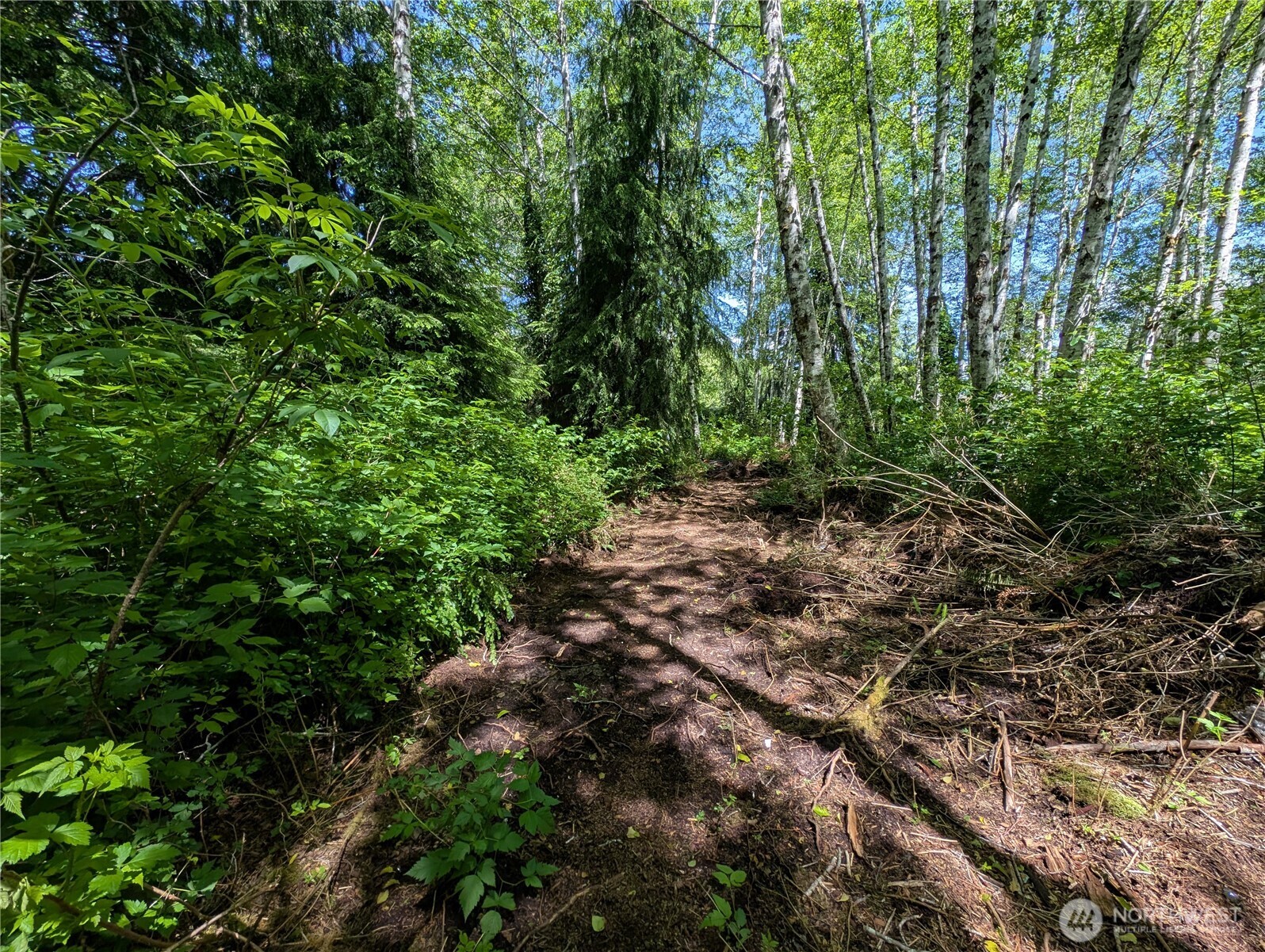 181327 Hwy 101 Highway Property Photo 21