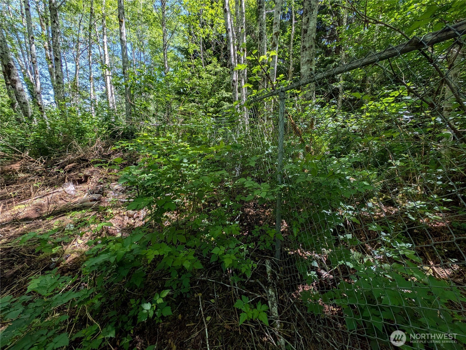 181327 Hwy 101 Highway Property Photo 22