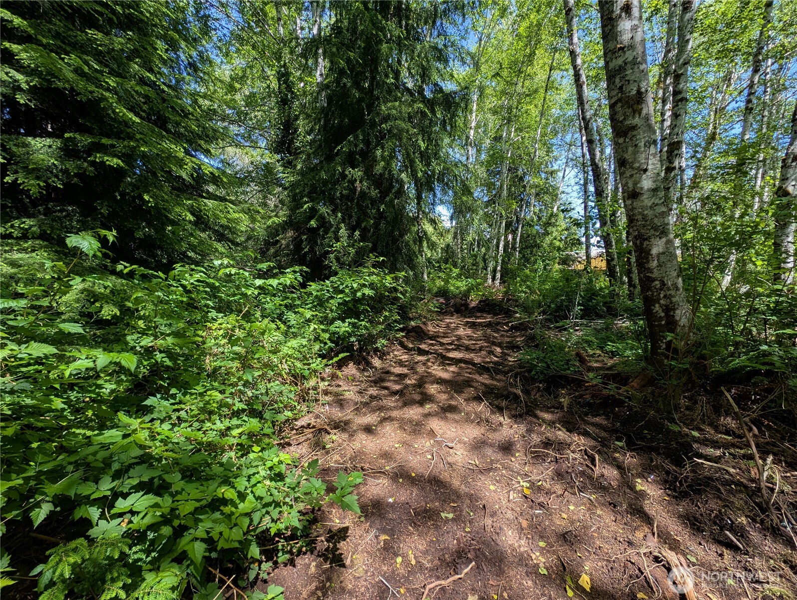 181327 Hwy 101 Highway Property Photo 23