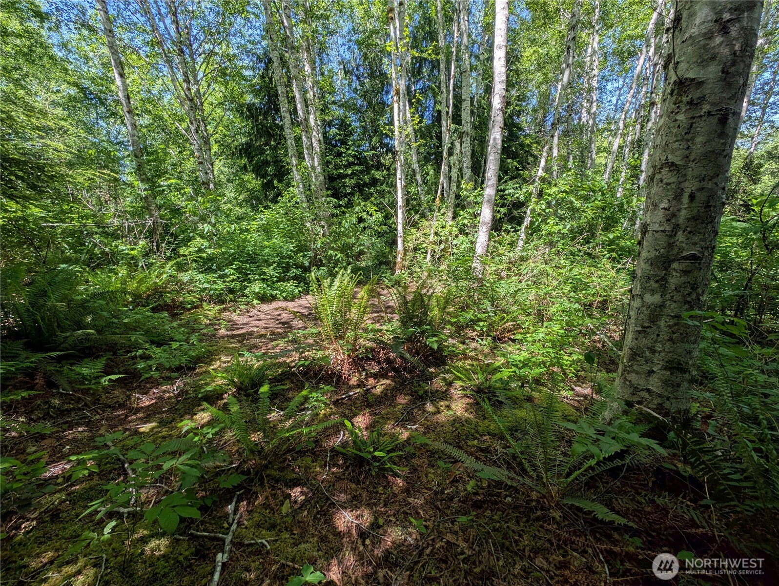 181327 Hwy 101 Highway Property Photo 33