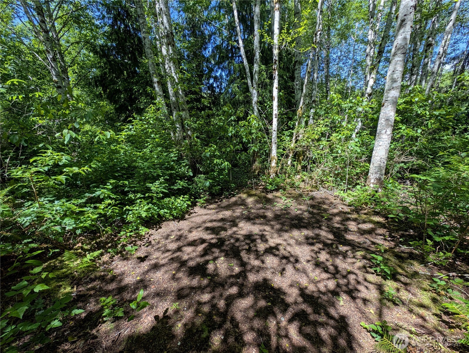 181327 Hwy 101 Highway Property Photo 34