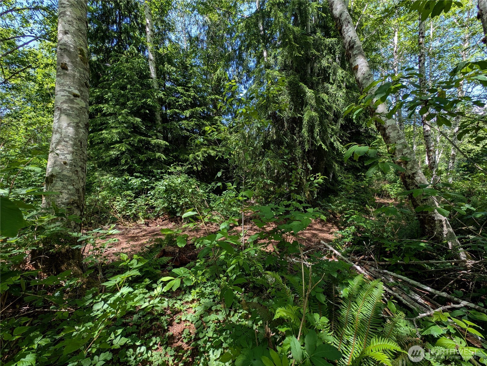 181327 Hwy 101 Highway Property Photo 36