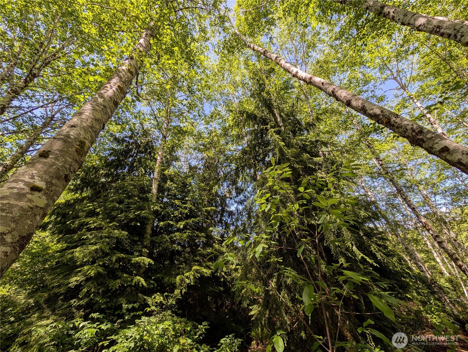181327 Hwy 101 Highway Property Photo 37