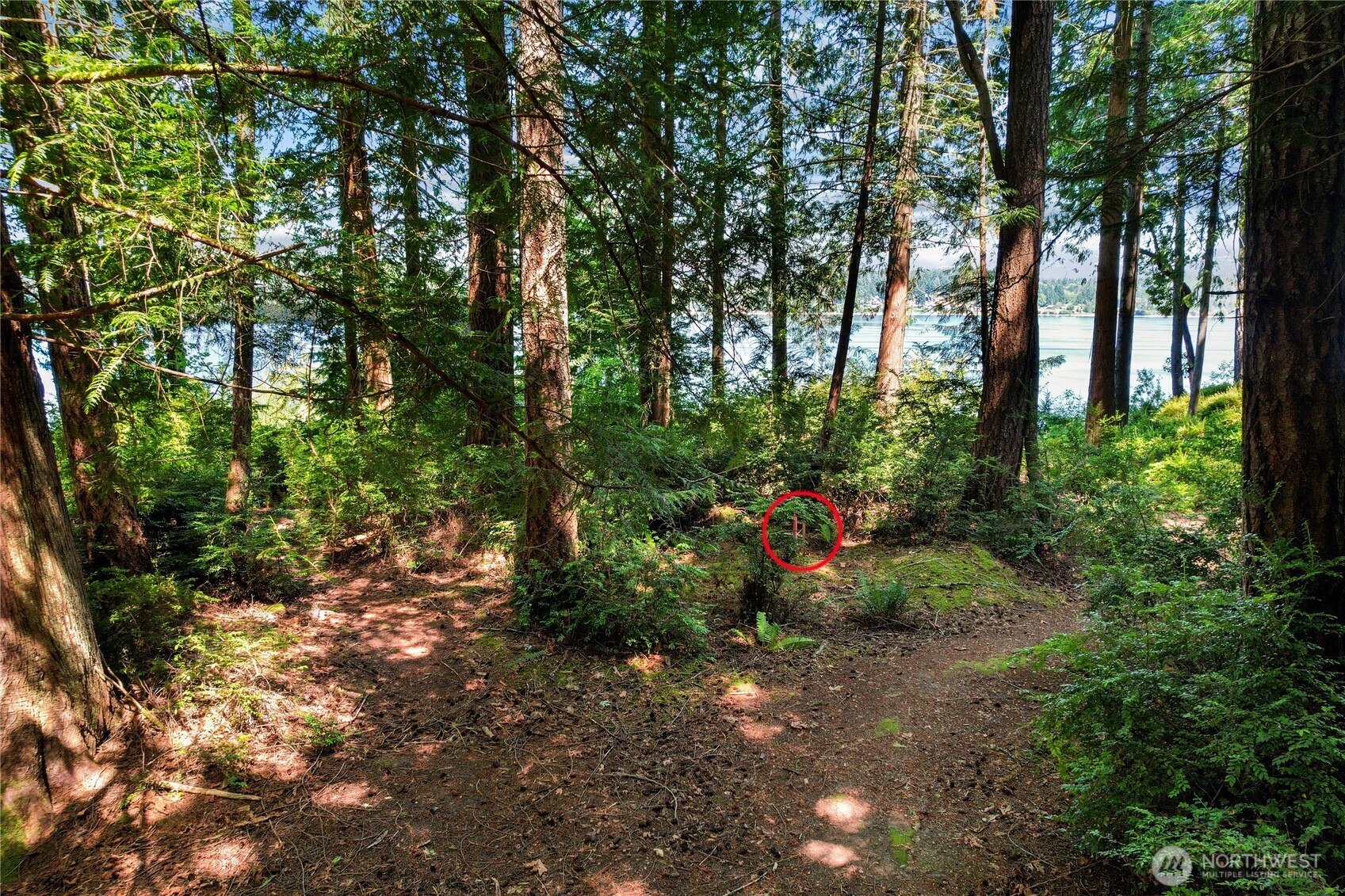 559 E Pointes Drive Property Photo 15