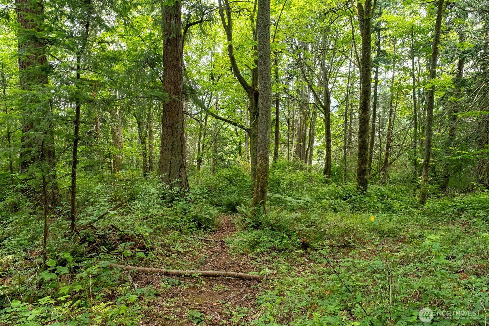 750 Samish Way Property Photo 13