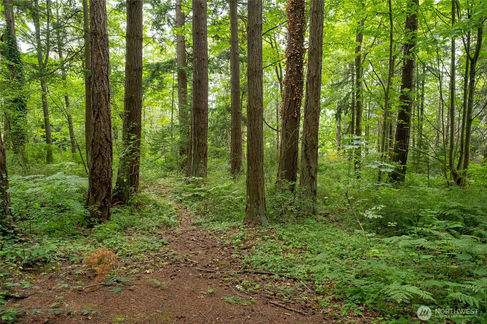 750 Samish Way Property Photo 14
