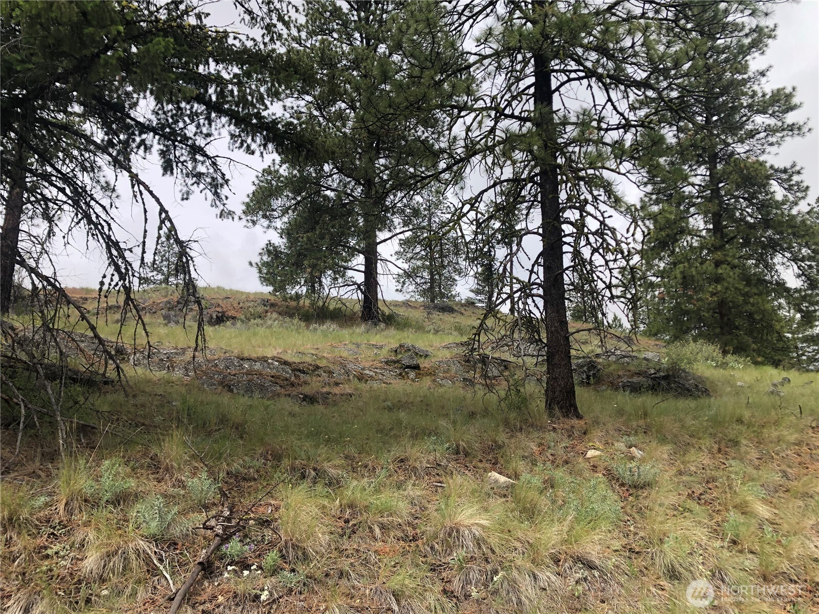 227 Point Drive Property Photo 1