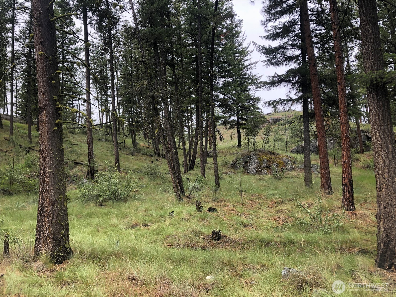 227 Point Drive Property Photo 2