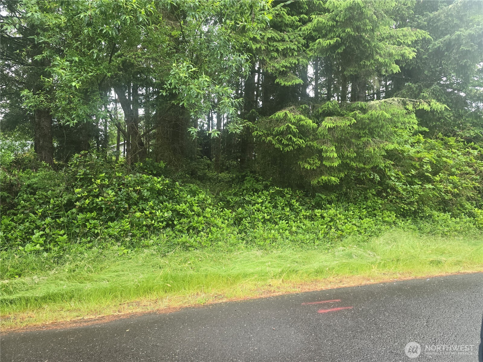563 Weatherwax Loop Property Photo 1