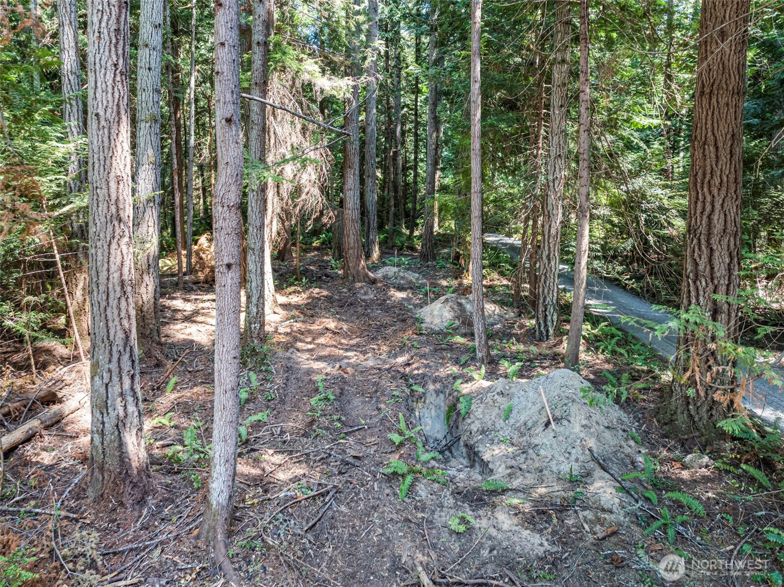 14925 Olympic View Loop Road Property Photo 8