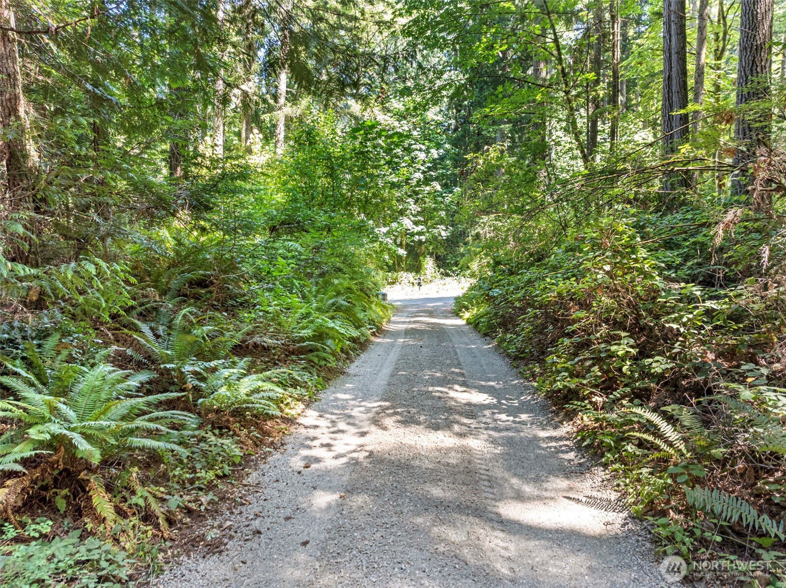14925 Olympic View Loop Road Property Photo 9