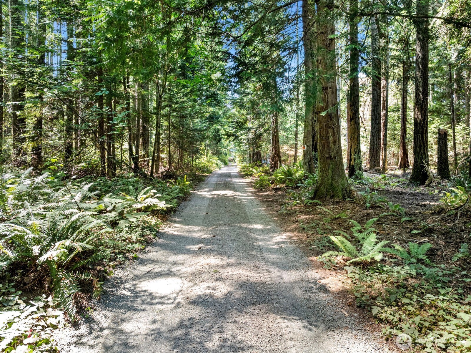 14925 Olympic View Loop Road Property Photo 10