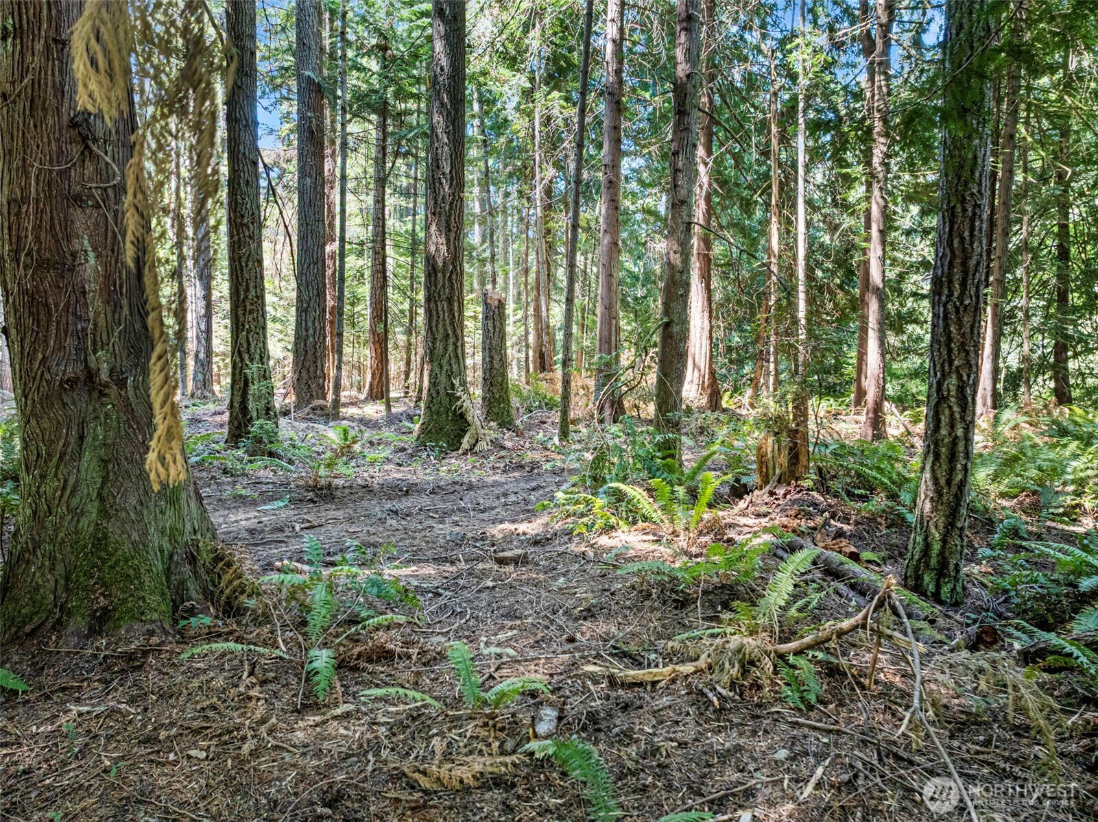 14925 Olympic View Loop Road Property Photo 12