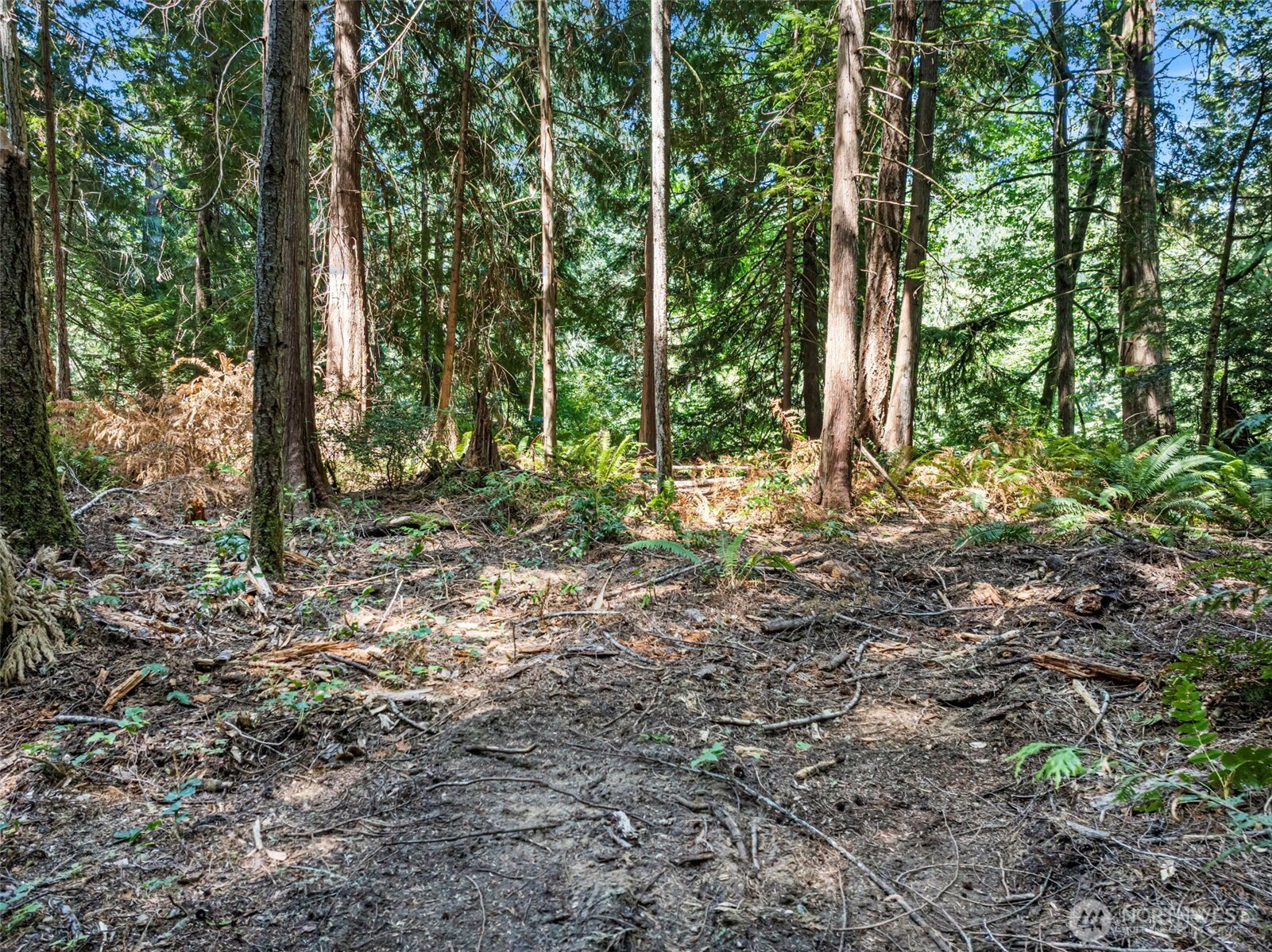 14925 Olympic View Loop Road Property Photo 13