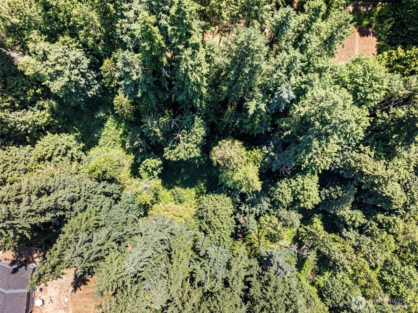 14925 Olympic View Loop Road Property Photo 15