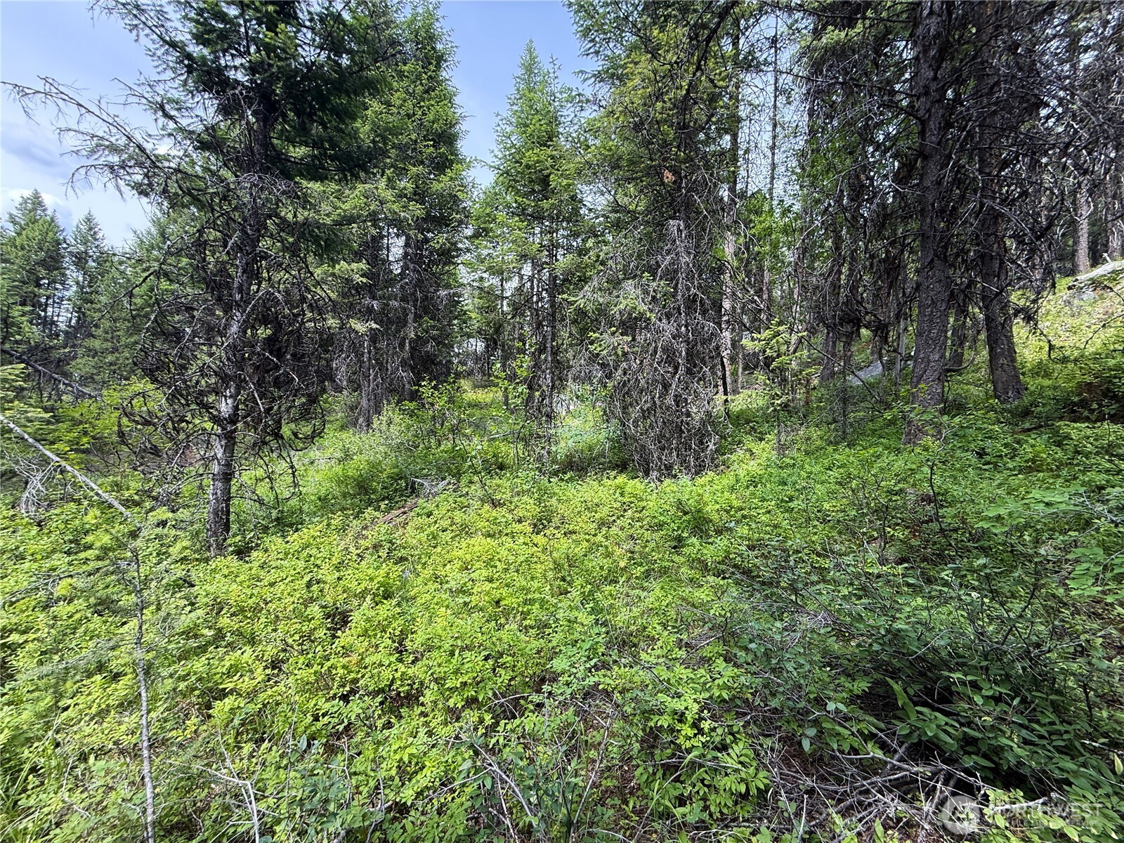 0 Mule Deer Property Photo 1