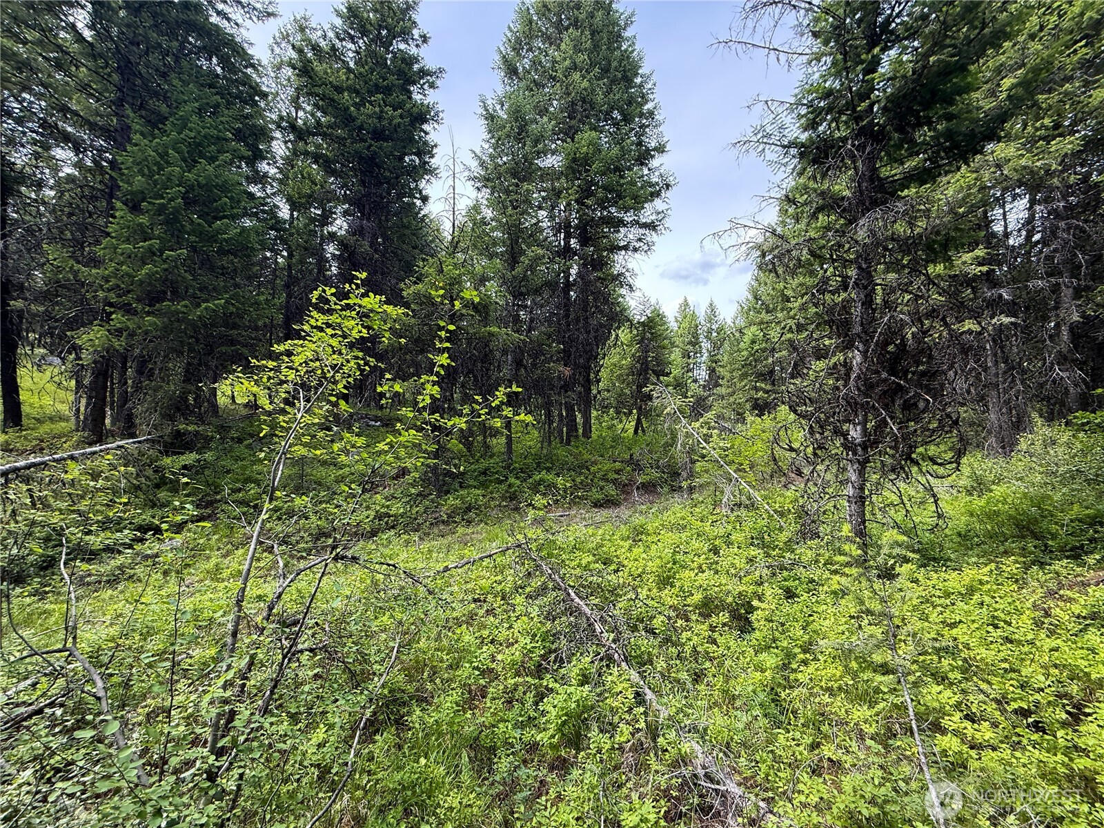0 Mule Deer Property Photo 3