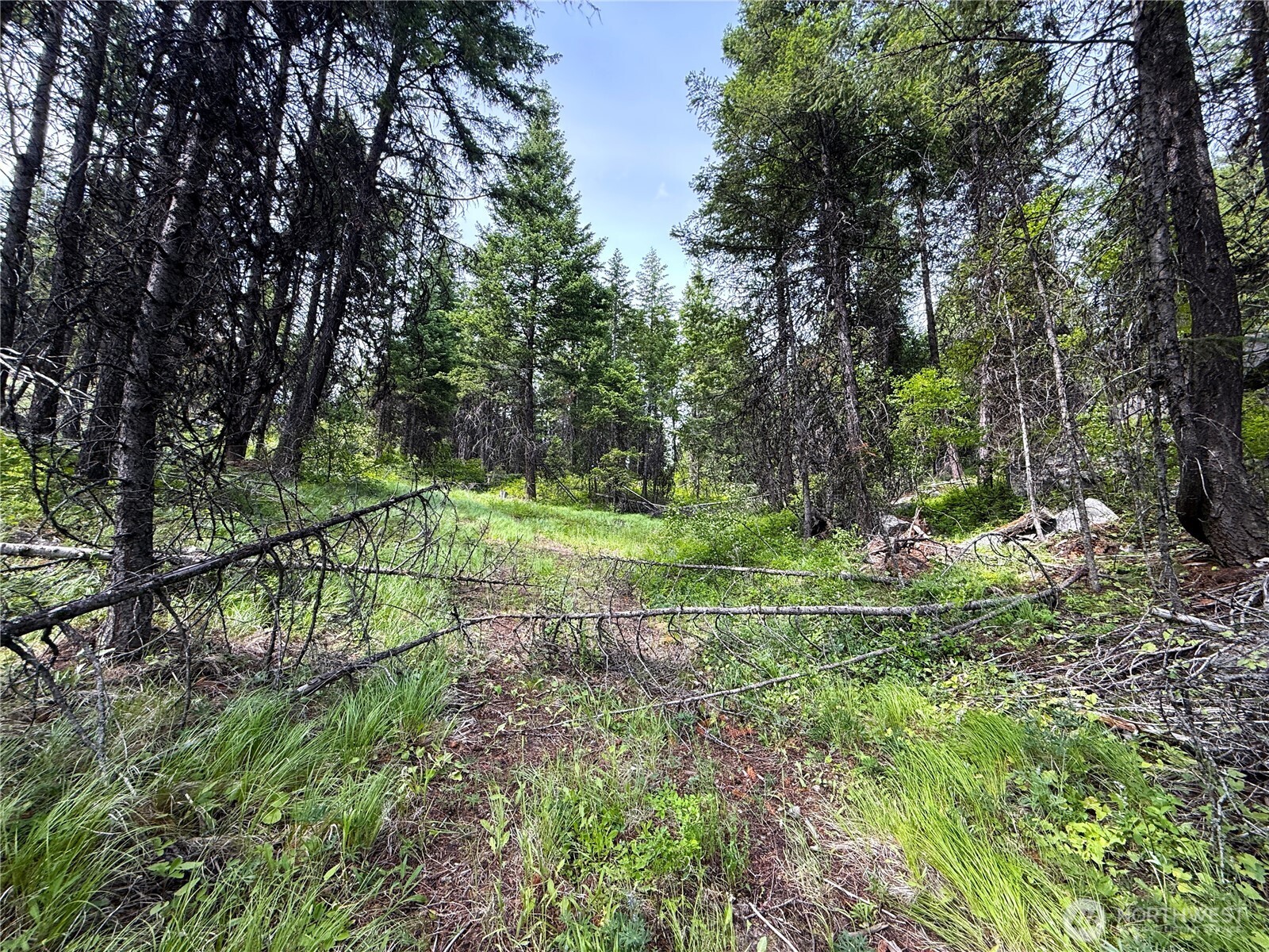 0 Mule Deer Property Photo 5