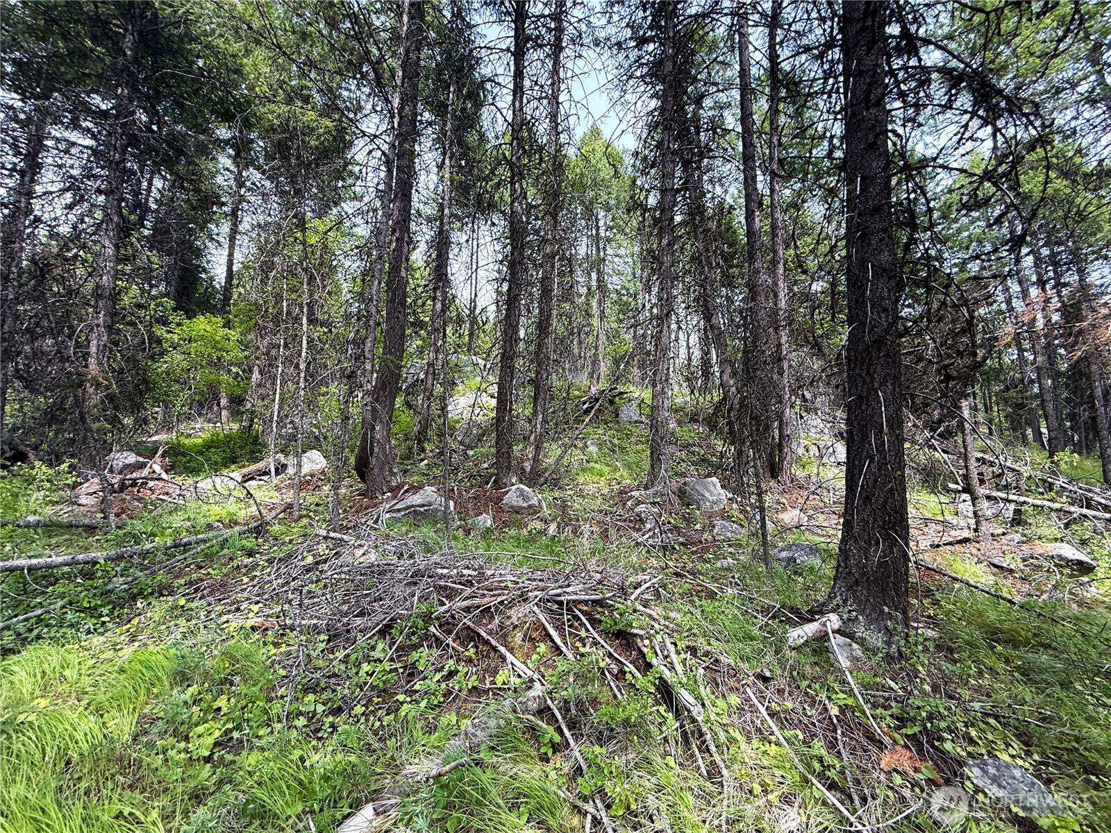 0 Mule Deer Property Photo 6