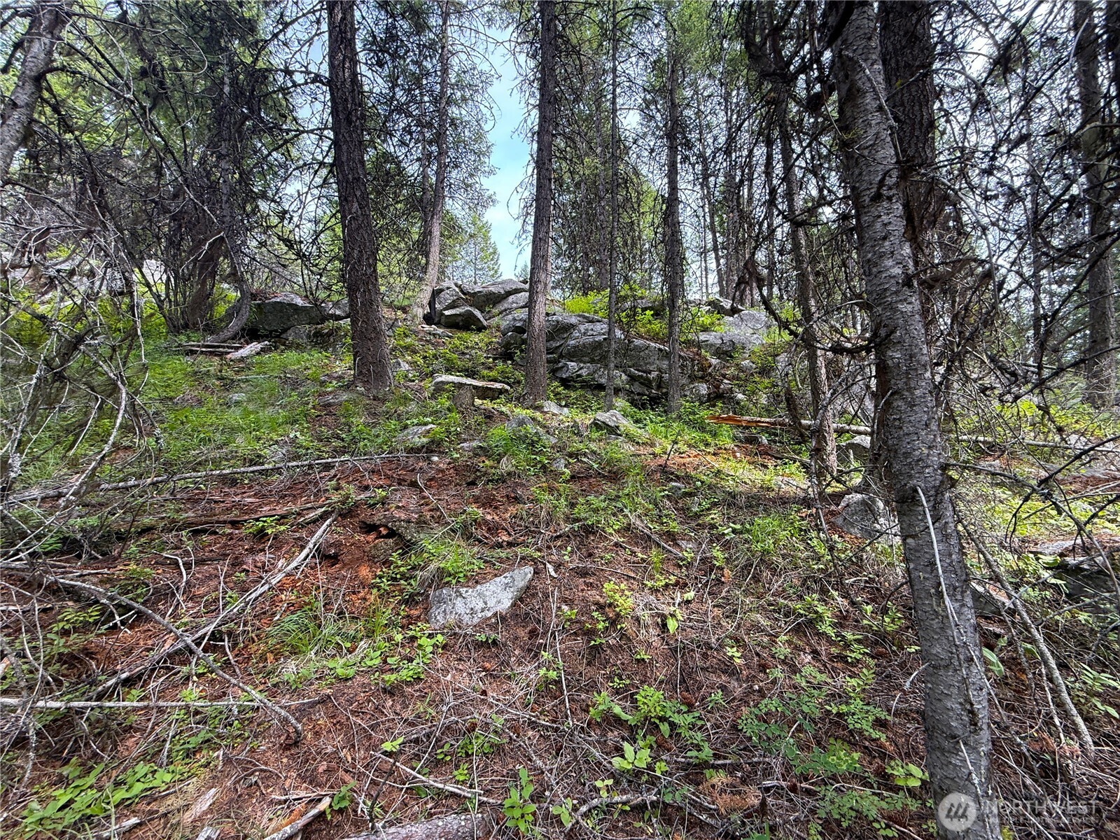 0 Mule Deer Property Photo 7