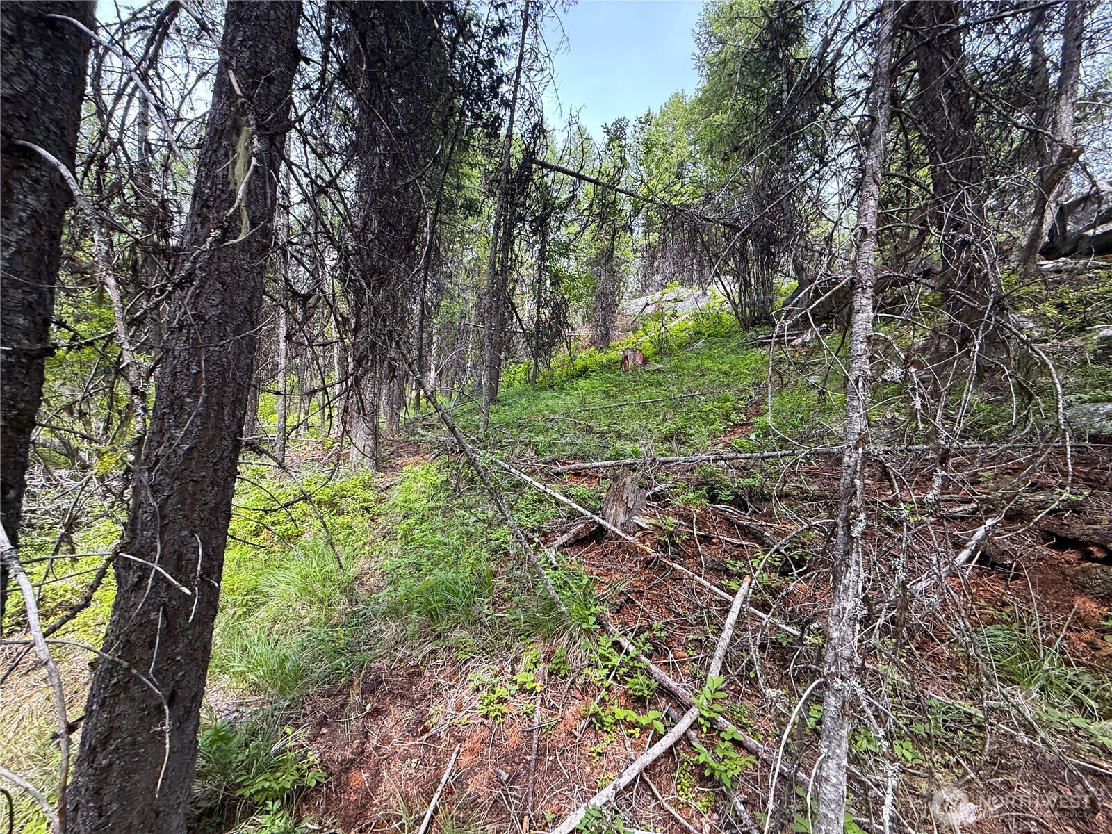 0 Mule Deer Property Photo 8