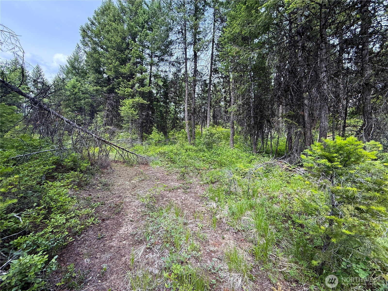 0 Mule Deer Property Photo 9