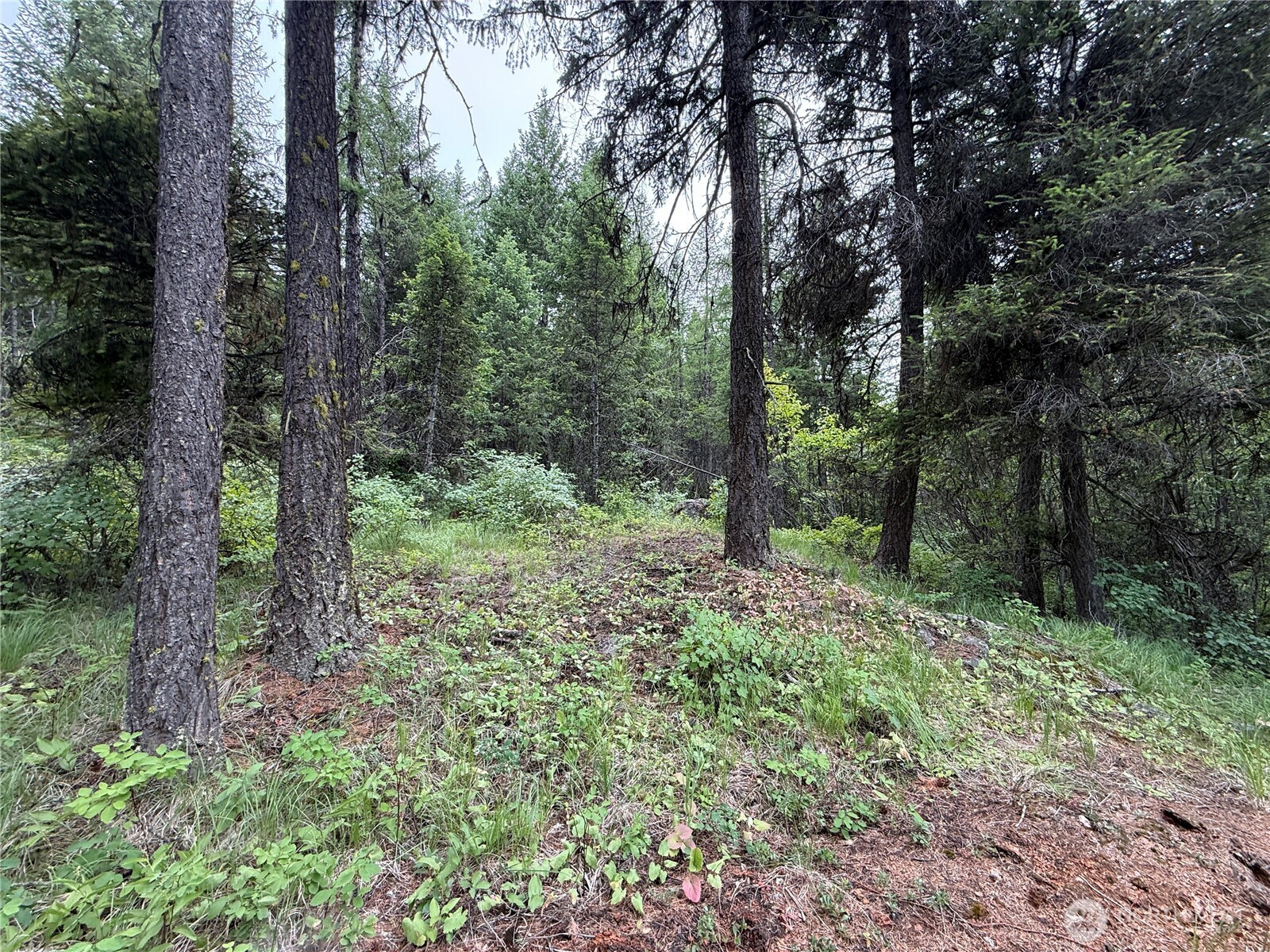 0 Mule Deer Road Property Photo 1