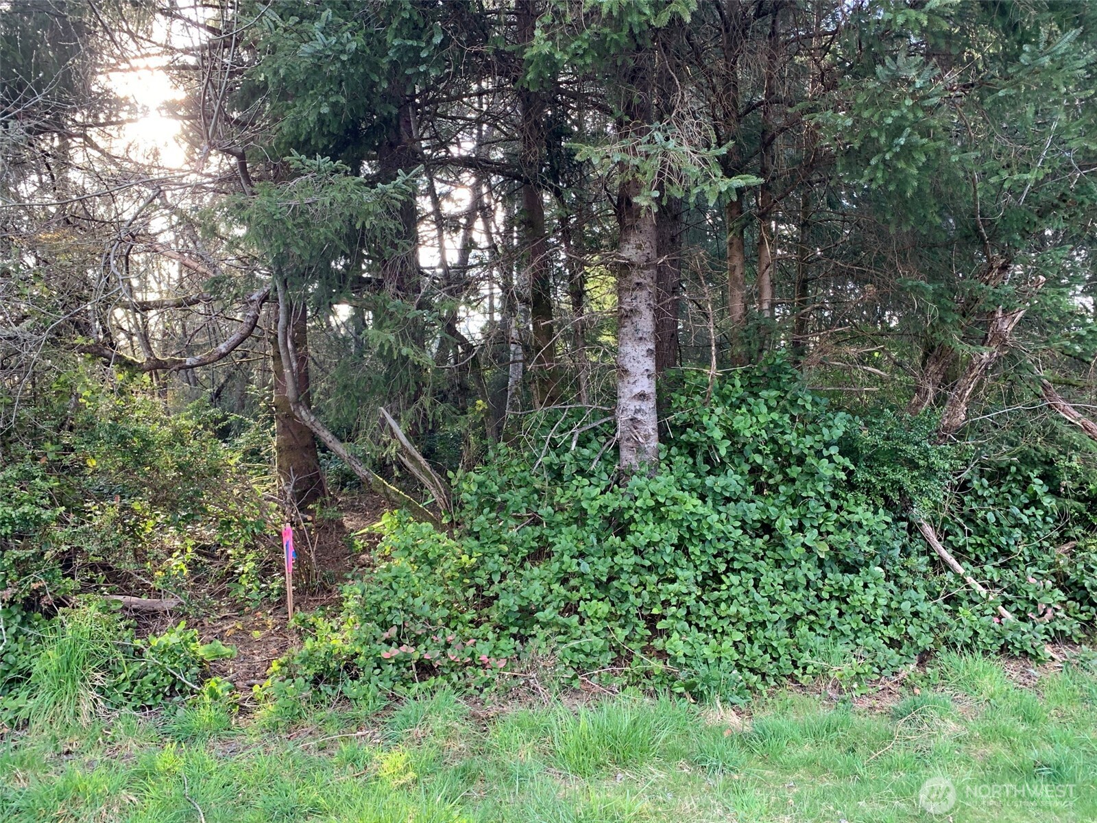 609 Weatherwax Property Photo 3