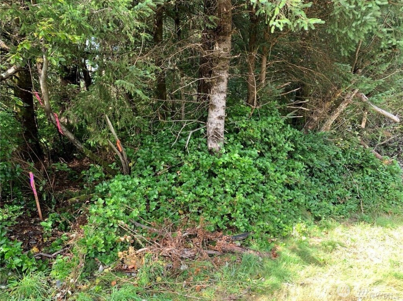 609 Weatherwax Property Photo 4