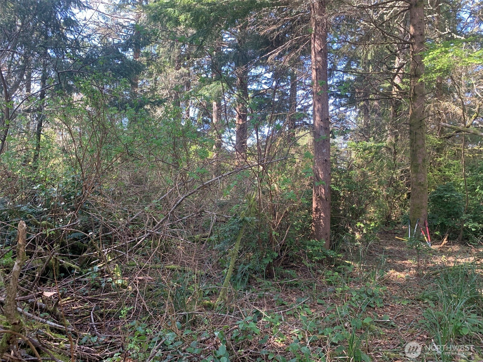 609 Weatherwax Property Photo 5