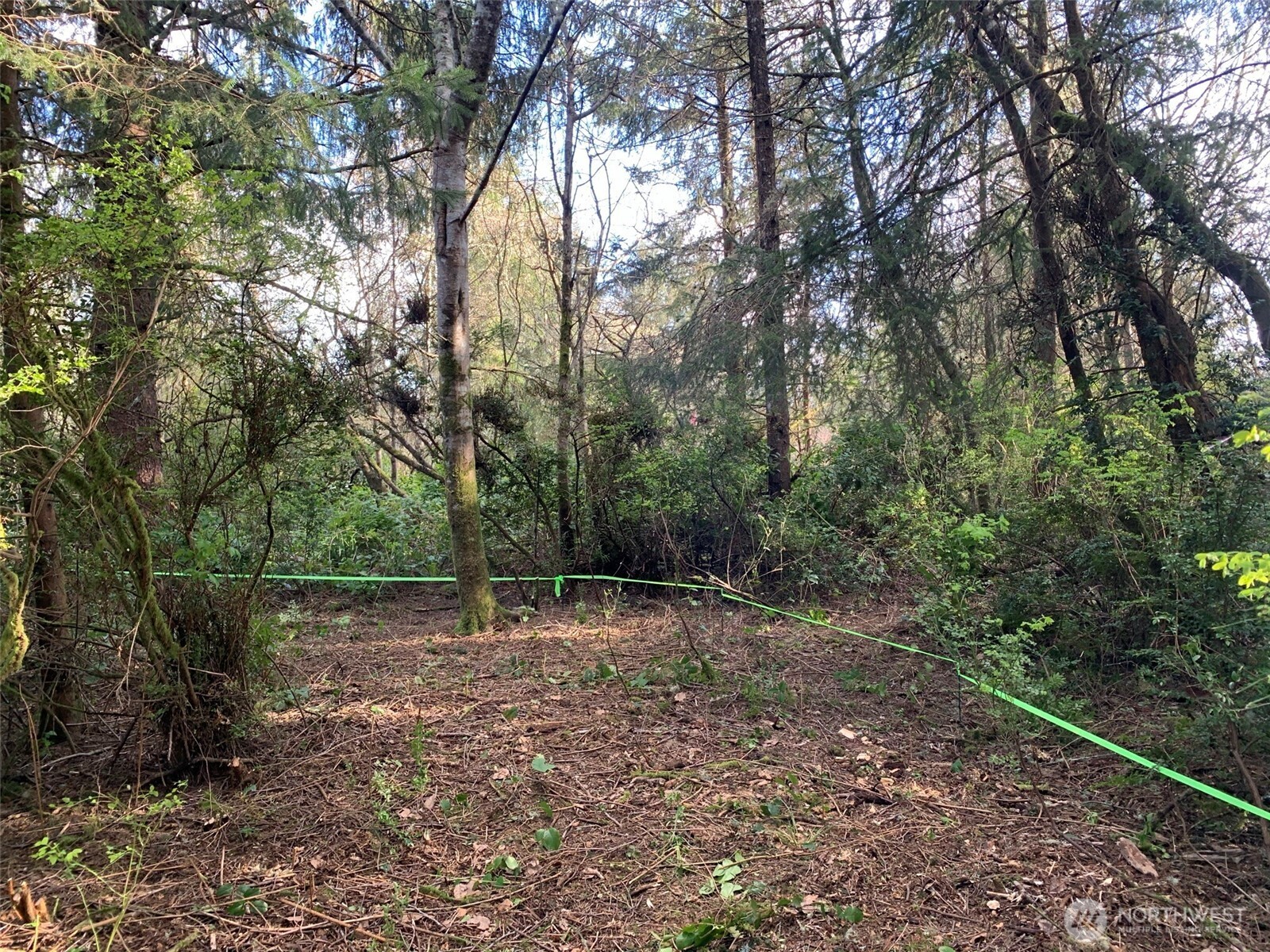609 Weatherwax Property Photo 7