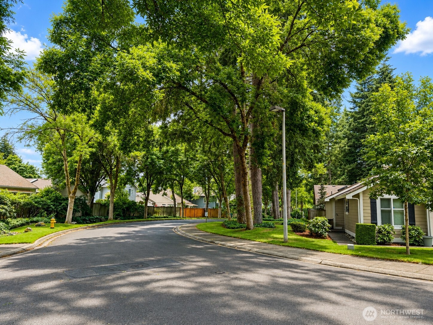 6031 Gresham Lane Property Photo 19