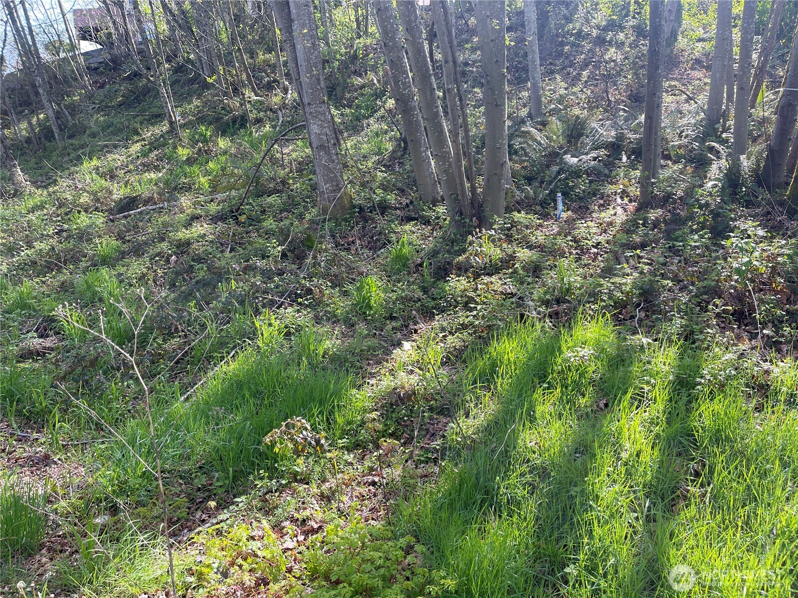 3911 Sw Dash Point Rd Property Photo 9