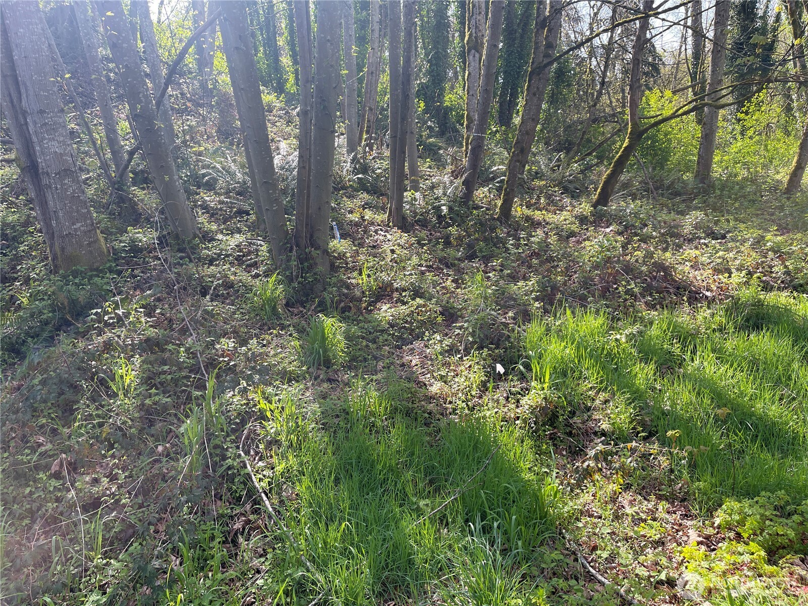 3911 Sw Dash Point Rd Property Photo 10