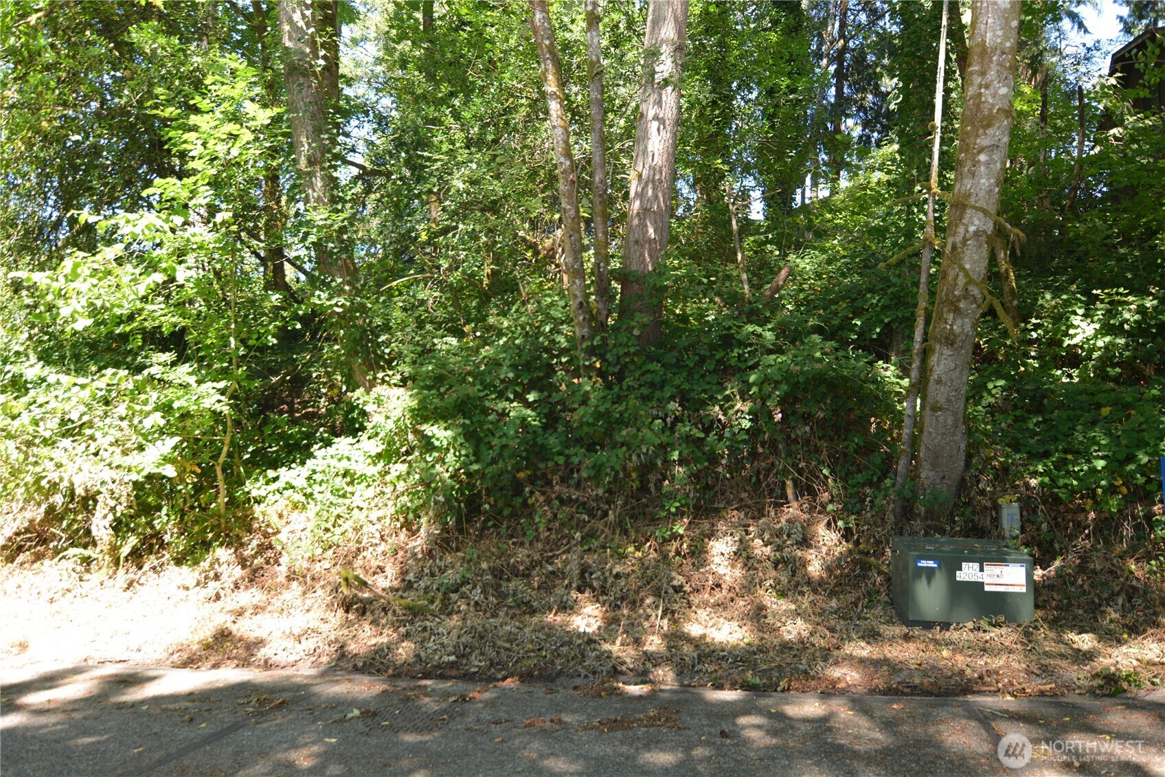 2428 Archwood Drive Property Photo 1