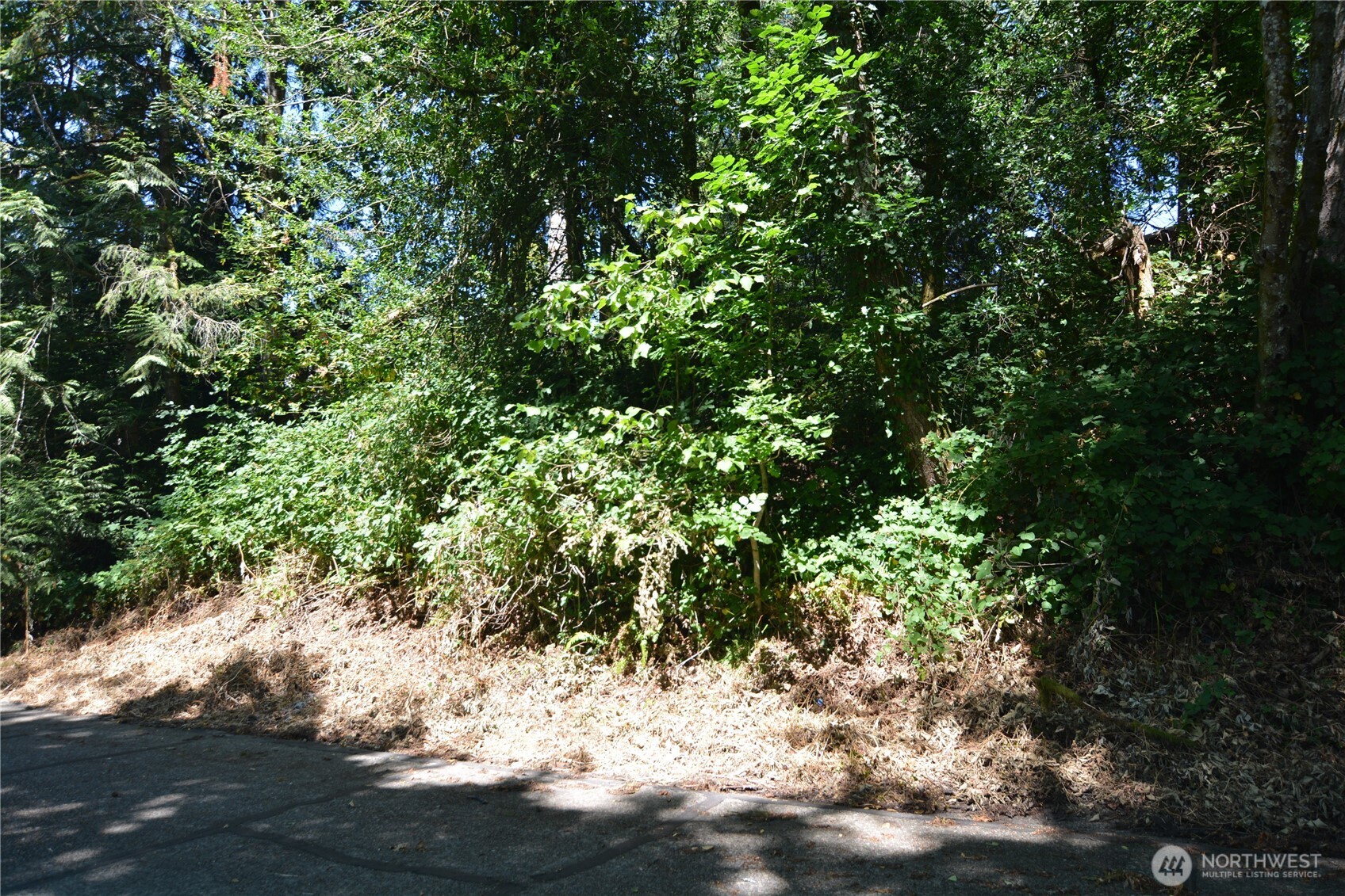 2428 Archwood Drive Property Photo 2