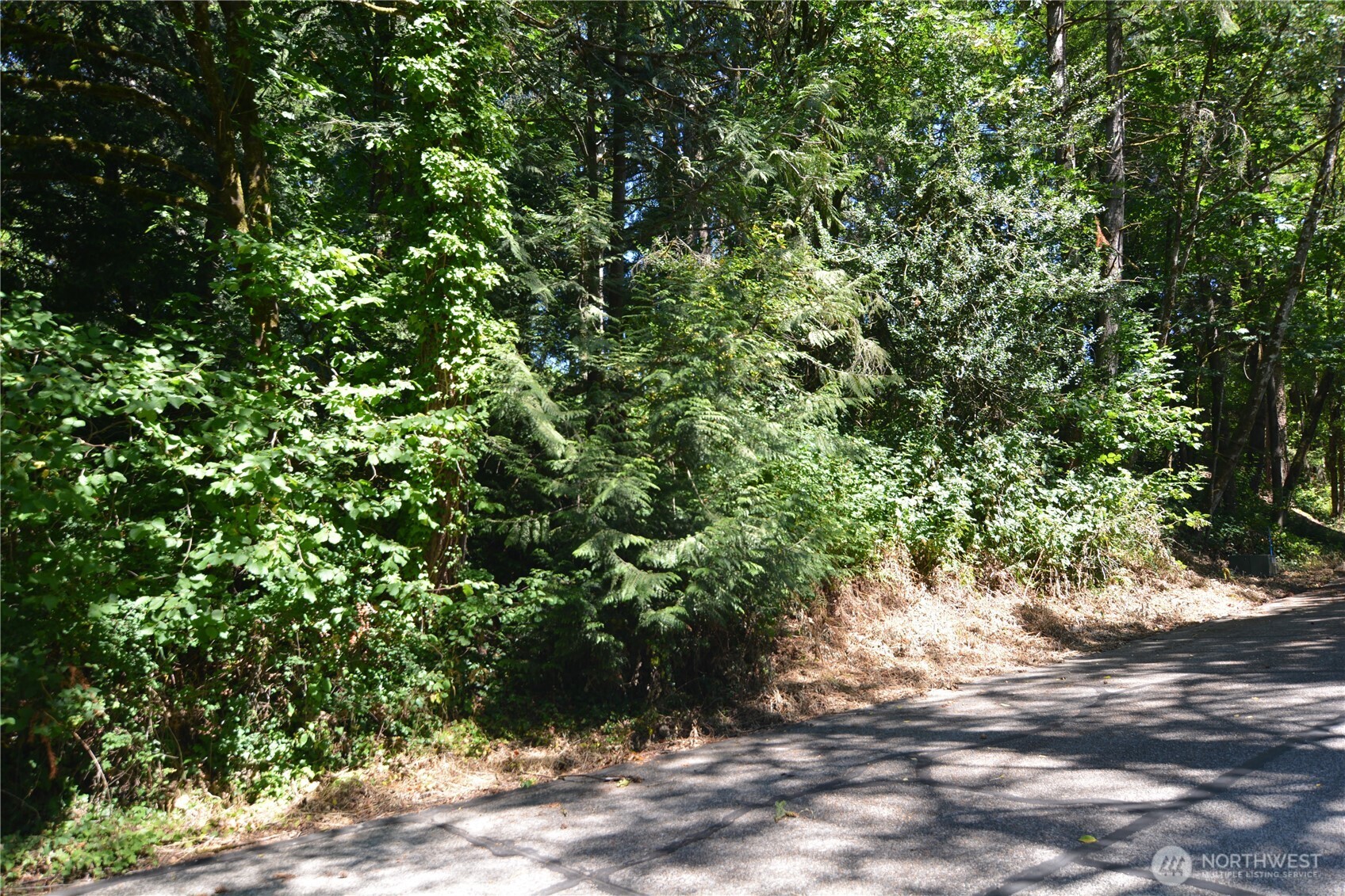 2428 Archwood Drive Property Photo 3