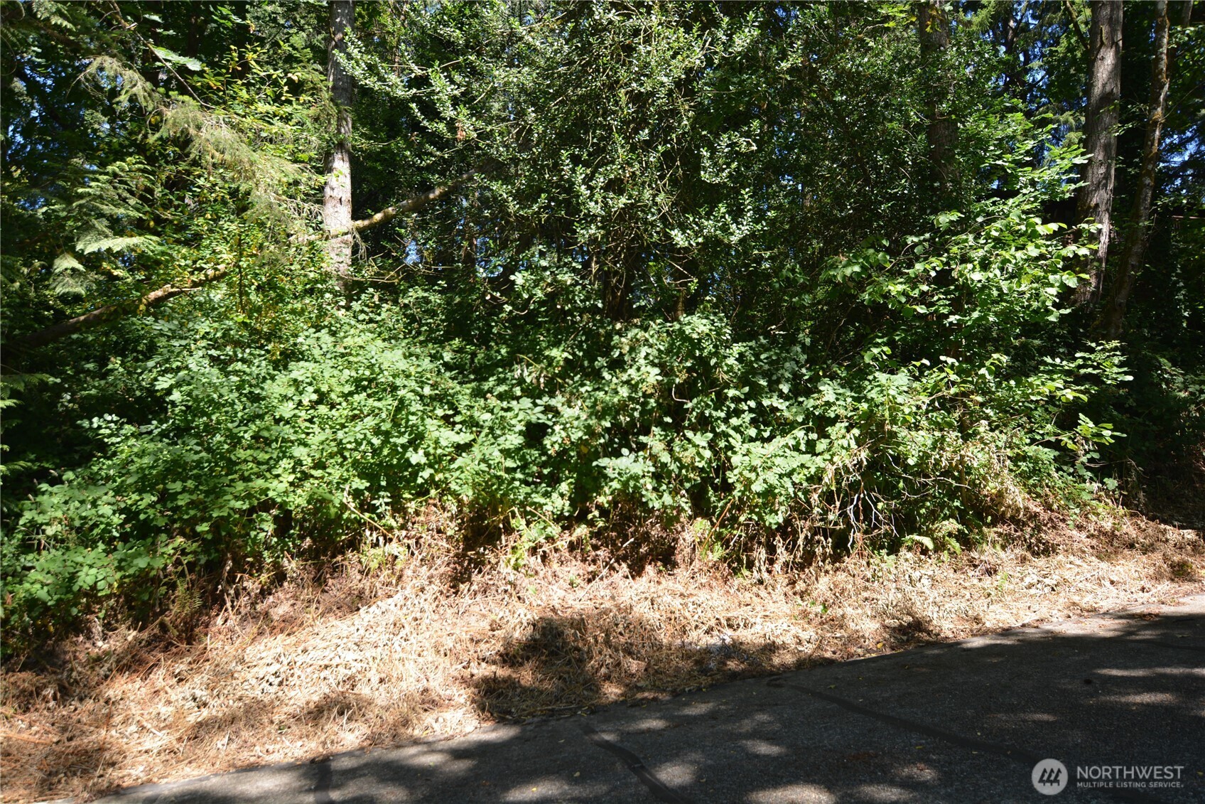 2428 Archwood Drive Property Photo 5