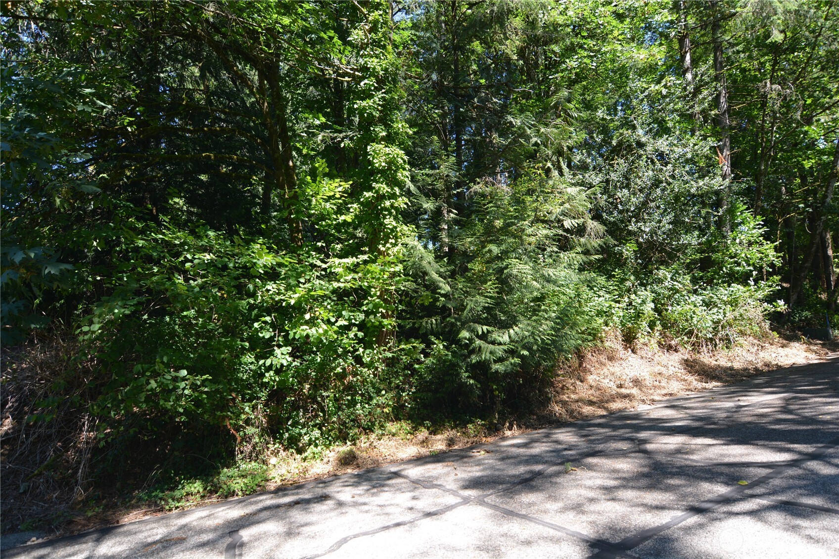 2428 Archwood Drive Property Photo 7