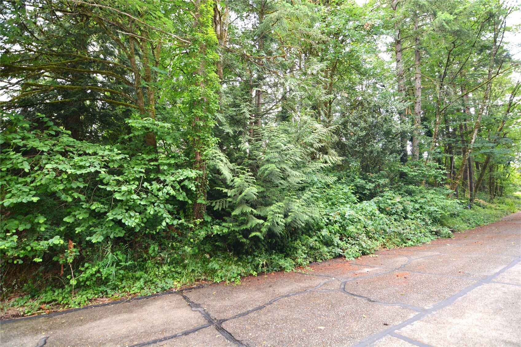 2428 Archwood Drive Property Photo 8