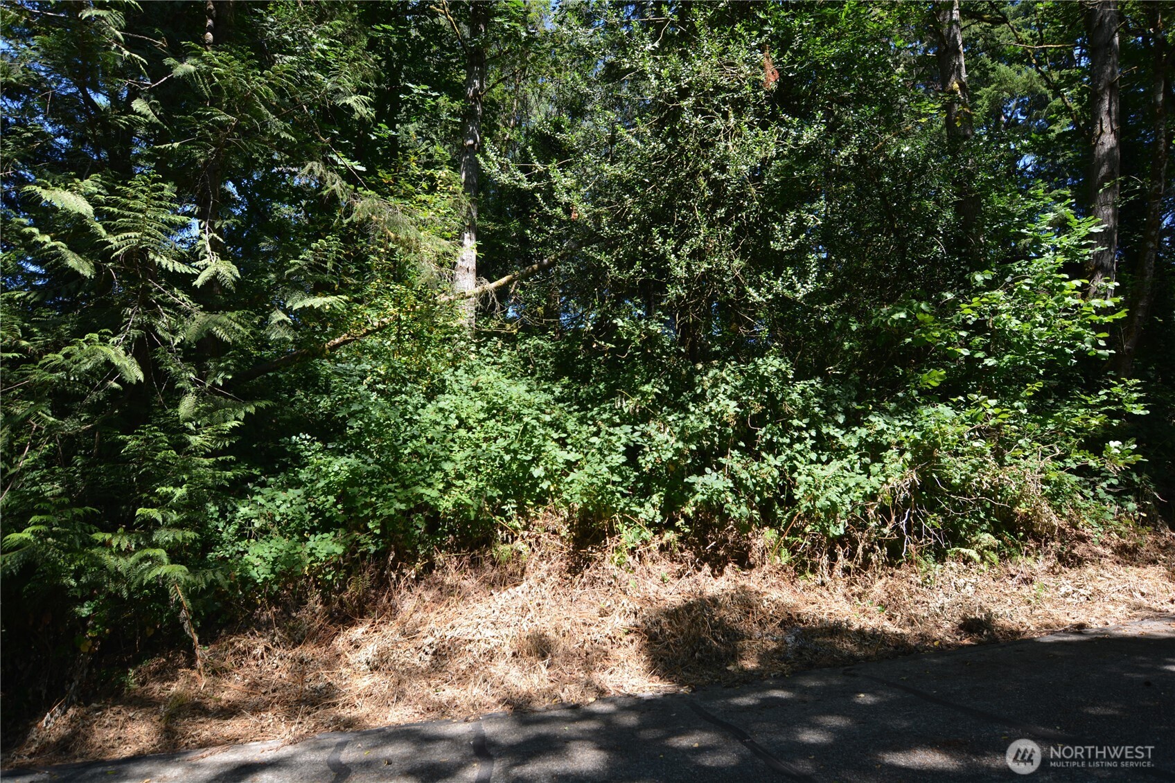 2428 Archwood Drive Property Photo 10