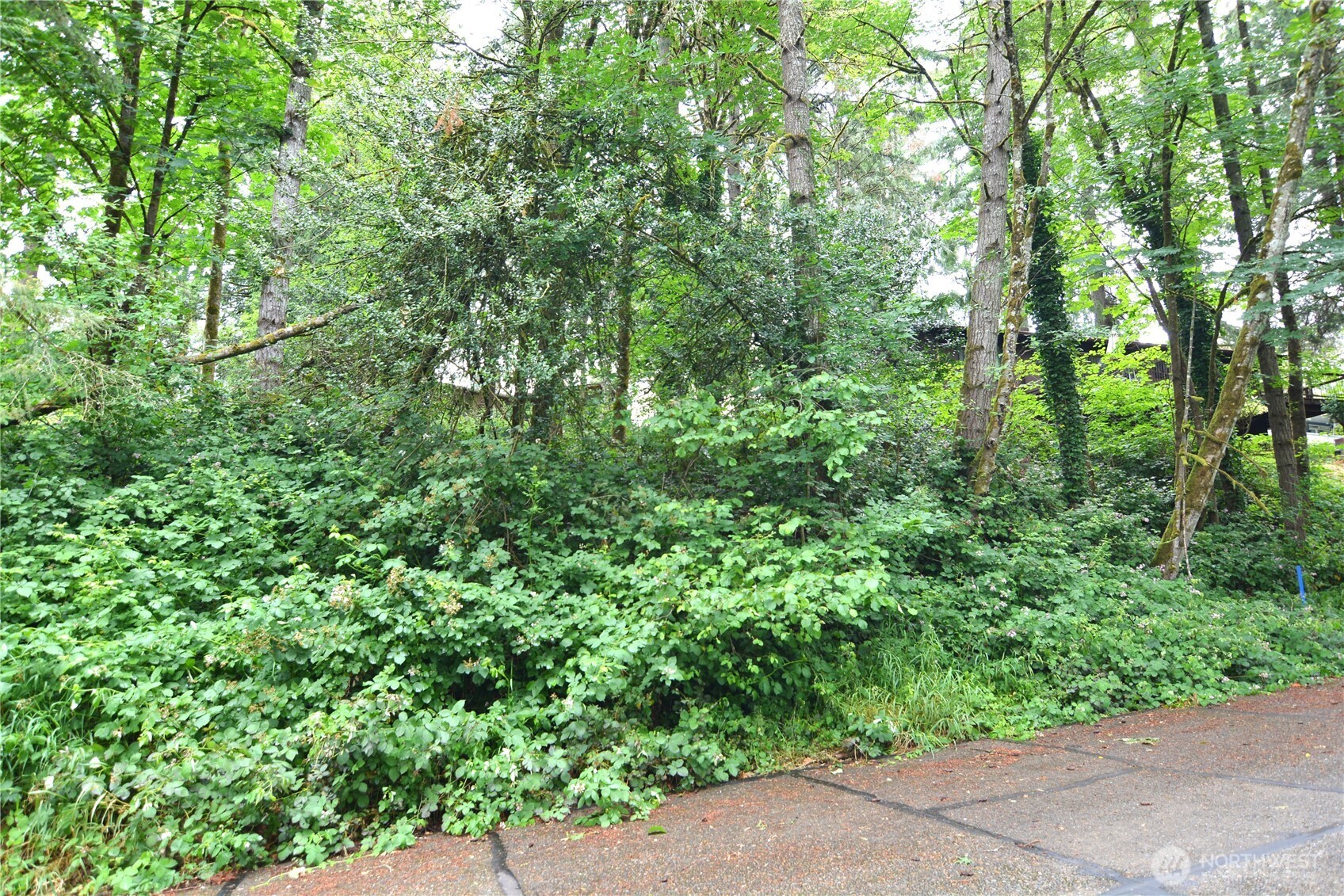 2428 Archwood Drive Property Photo 11