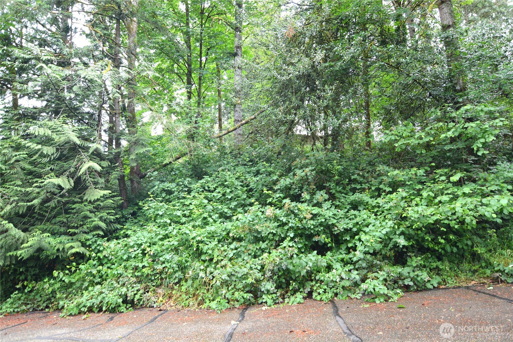 2428 Archwood Drive Property Photo 12
